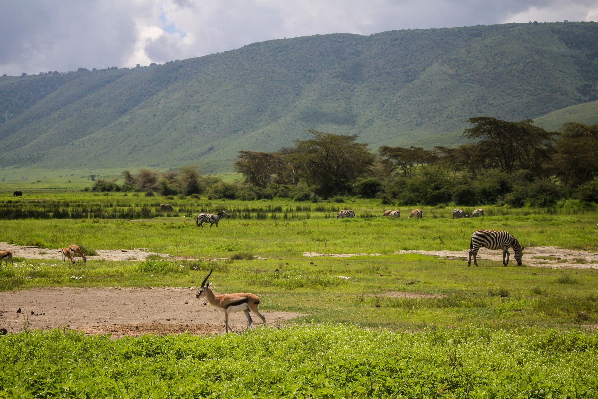 Tanzania